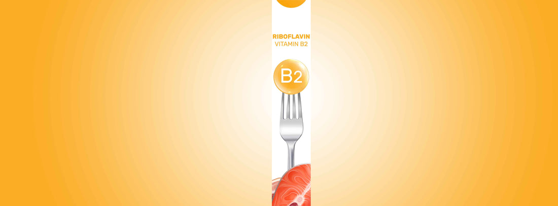 Vitain B2 ryboflavin