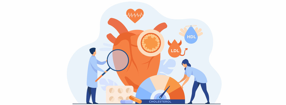 Cholesterol Explained
