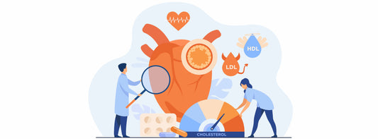 Cholesterol Explained