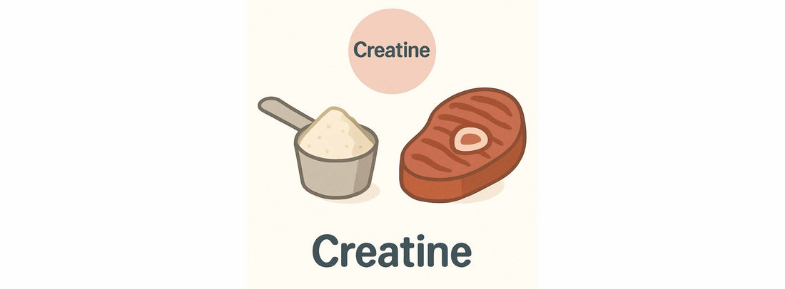Creatine: Supplement for Muscle and Energy Support