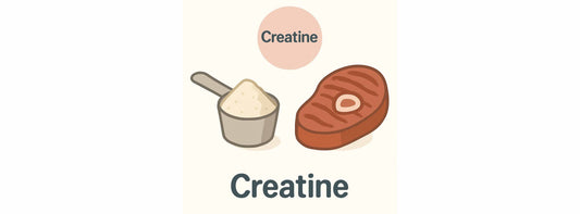 Creatine - Supplement Good For Muscle and Brain