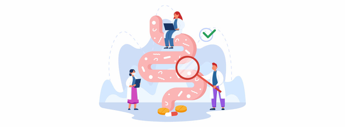 Gut Health Explained: Diet, Supplements And Probiotics Play A Vital Role Here