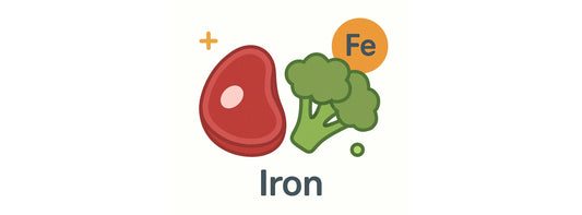 Iron: Best for Energy, Brain, Immunity and More