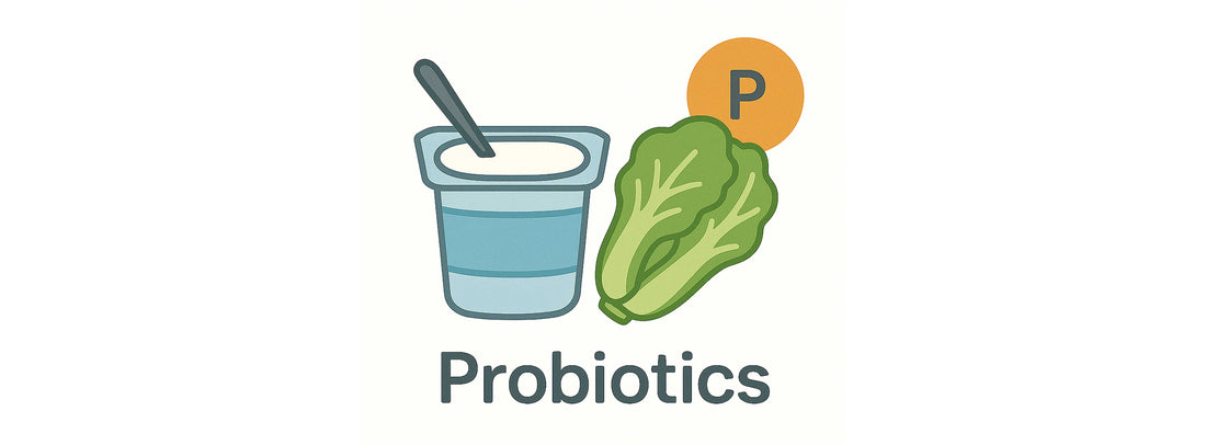 Probiotics Explained: Supporting Digestion, Immunity, and Overall Wellness