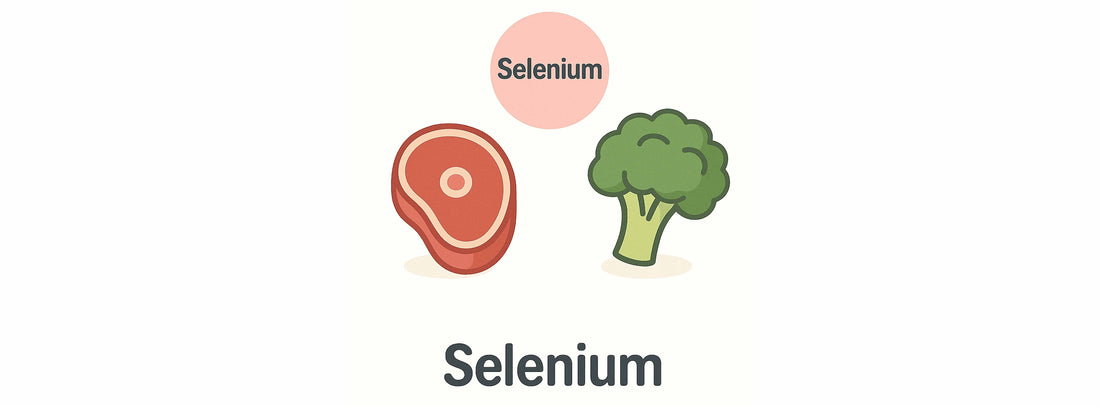 Selenium Vitamin Essential For Human Health