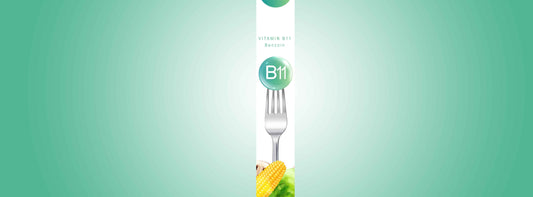 Vitamin B11 (Benzoin) Good Methabolism and Immune System